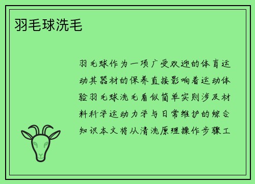 羽毛球洗毛